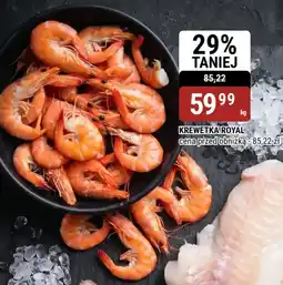 bi1 Krewetka royal oferta