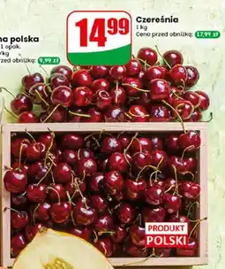 Dino Czereśnia polska oferta
