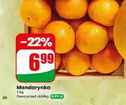 Dino Mandarynka oferta