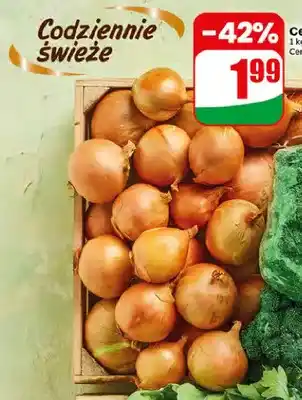 Dino Cebula oferta
