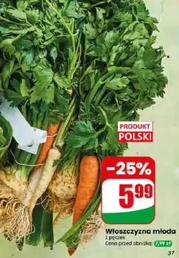 Dino Włoszczyzna młoda oferta