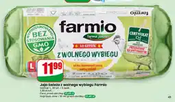 Dino Jaja świeże z wolnego wybiegu Farmio 10-pak oferta