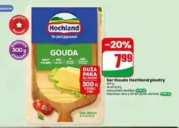 Dino Ser Gouda Hochland plastry oferta