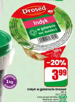Dino Indyk w galarecie Drosed oferta