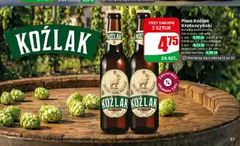 Dino Piwo Koźlak Krotoszyński oferta