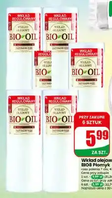 Dino Wkład olejowy regulowany BIO8 Płomyk oferta