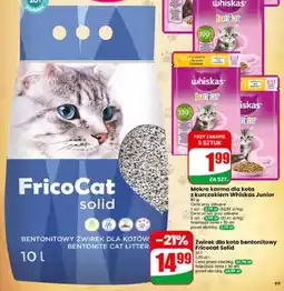 Dino Żwirek dla kota bentonitowy Fricocat Solid oferta