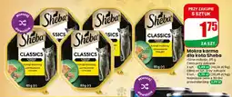 Dino Mokra karma dla kota Sheba Classics koktajl drobiowy oferta