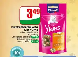 Dino Przekąska dla kota Cat Yums Vitakraft oferta