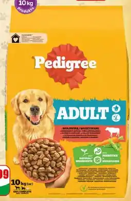 Dino Sucha karma dla psa z wołowiną Pedigree oferta