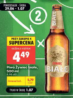 Biedronka Piwo Żywiec białe oferta