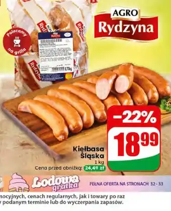 Dino Kiełbasa Śląska Rydzyna oferta