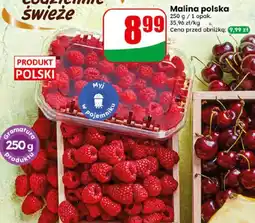 Dino Malina polska oferta