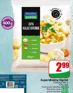 Dino Zupa Mroźny Ogród oferta