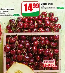 Dino Czereśnia oferta