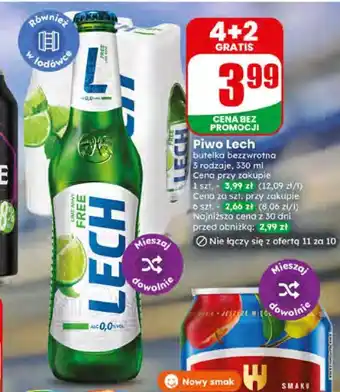 Dino Piwo Lech oferta