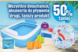Dino Wszystkie dmuchańce, akcesoria do pływania oferta