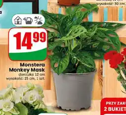 Dino Monstera Monkey Mask oferta