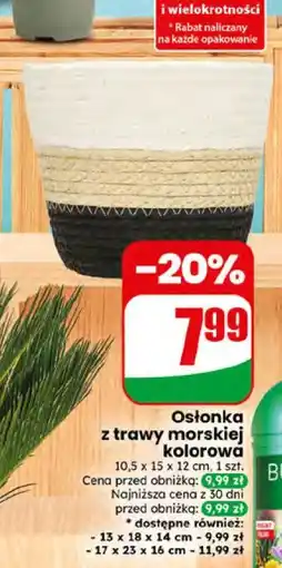 Dino Osłonka z trawy morskiej kolorowa oferta