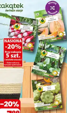 Dino Nasiona oferta
