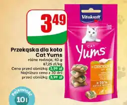 Dino Przekąska dla kota Cat Yums oferta