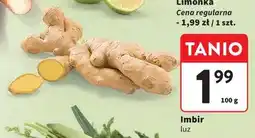 Intermarche Imbir oferta