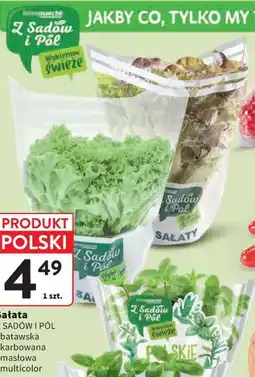 Intermarche Sałata oferta