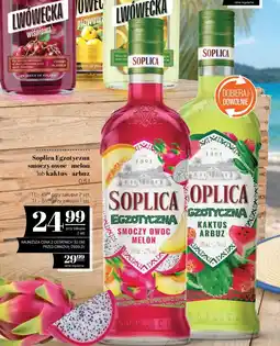 Polomarket Soplica Egzotyczna smoczy owoc - melon lub kaktus - arbuz oferta