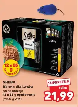 Kaufland Sheba Karma dla kotów oferta