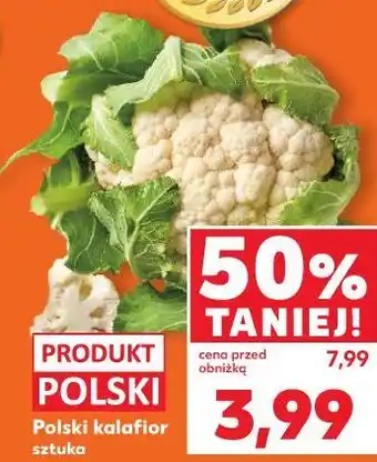 Kaufland Polski kalafior sztuka oferta
