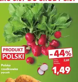 Kaufland Polska rzodkiewka pęczek oferta