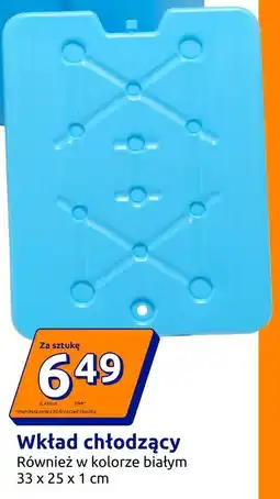 Action Wkład chłodzący oferta