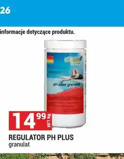 Merkury Market Regulator pH Plus granulat Planet Pool oferta