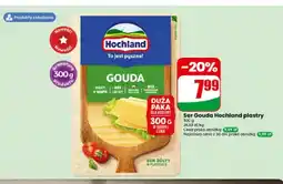 Dino Ser Gouda Hochland plastry oferta