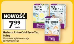 Auchan Herbata Asian Cold Brew Tea, Irving oferta