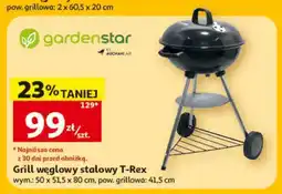 Auchan Grill węglowy stalowy T-Rex oferta