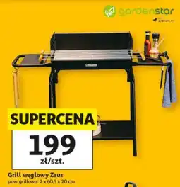 Auchan Grill węglowy Zeus oferta