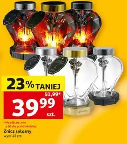 Auchan Znicz solarny oferta
