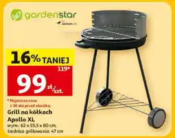 Auchan Grill na kółkach Apollo XL oferta