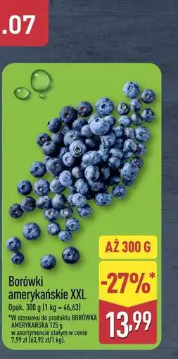 ALDI Borówki amerykańskie XXL oferta