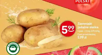 Żabka Ziemniaki jadalne siatka oferta