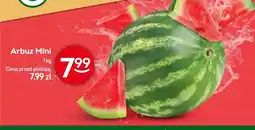 Żabka Arbuz Mini oferta