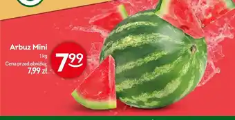 Żabka Arbuz Mini oferta