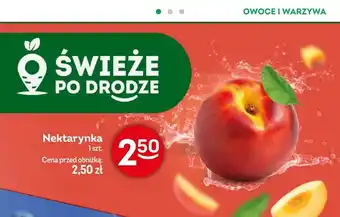 Żabka Nektarynka oferta