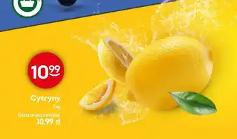 Żabka Cytryny oferta
