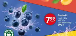 Żabka Borówki oferta
