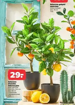 Netto Sztuczne drzewko dekoracyjne pomarańczowe oferta