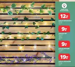 Netto Łańcuch LED bluszcz oferta