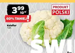 Netto Kalafior oferta