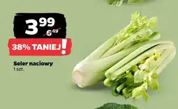 Netto Seler naciowy oferta